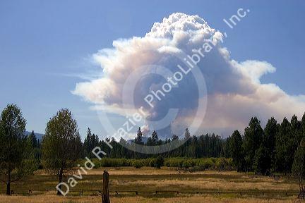 Plume of smoke from a wildfire near Sisters, Oregon.