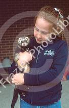 Young girl holding a pet ferret.  MR