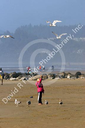 A child feeding gulls on the beach at Newport, Oregon.