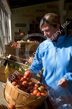 A woman shops at a farmers market in Canyon County, Idaho. MR