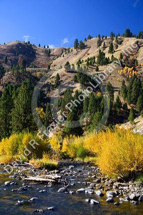 Autumn on the Payette River in Idaho.