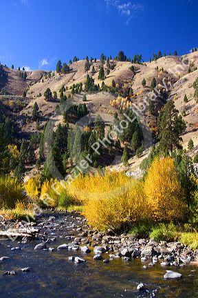 Autumn on the Payette River in Idaho.