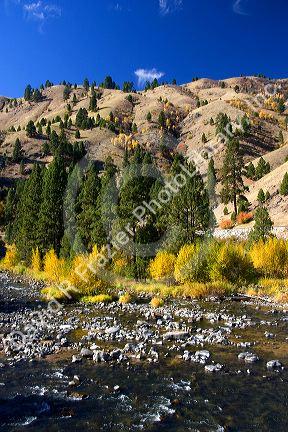 Autumn on the Payette River in Idaho.