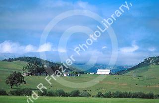 Farm scene north of Morrow Bay, California along Pacific Coast Highway 1.