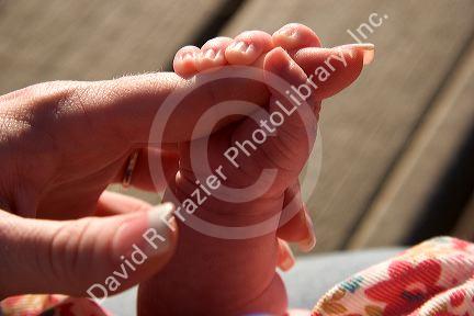Baby girl holding her mother's finger. MR