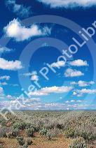 Desert forground and mountain background in extreme south east Oregon.
