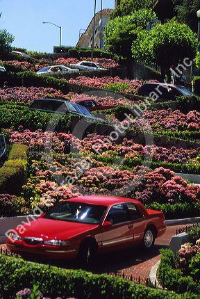 Cars drive on Lombard Street in San Francisco, California, crookedest street in the world.