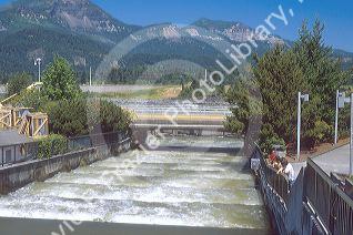 Fish ladder at Bonneville Dam on the Columbia River in Oregon.