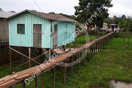 Walkways and houses on stilts in the Amazon, Brazil.