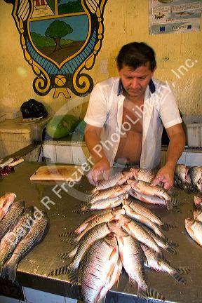 A vendor selling fish in Manaus, Brazil.