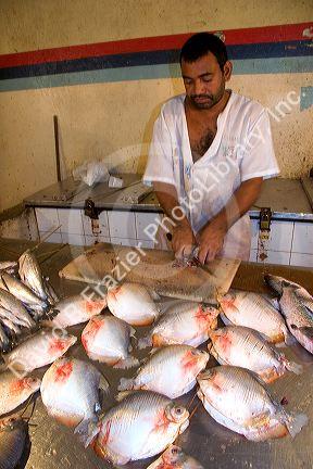 A vendor selling fish in Manaus, Brazil.