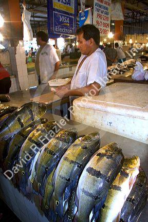 A vendor selling peacock bass at a fish market in Manaus, Brazil.