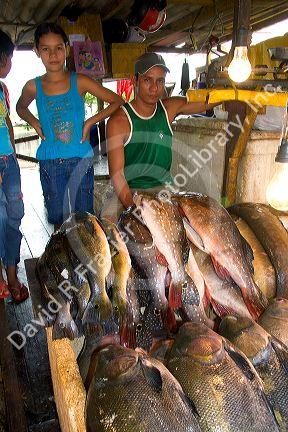 Vendor selling fish at a market in Manaus, Brazil.