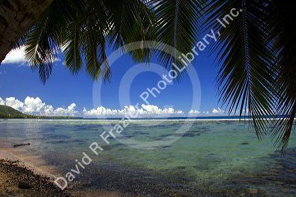 A view of the lagoon through palm trees off the island of Tahiti.