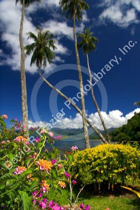 Tropical flowers and palm trees on the island of Tahiti.