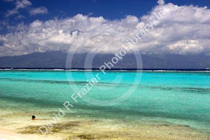A woman swimming in the lagoon on the island of Moorea.