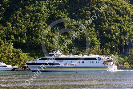 High speed catamaran ferry on the island of Moorea.
