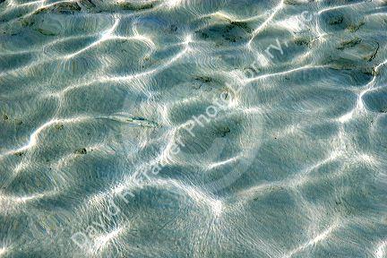 Dappled clear water and sandy bottom of the lagoon on the island of Moorea.