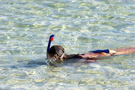 Woman snorkeling in the lagoon off the island of Moorea. MR