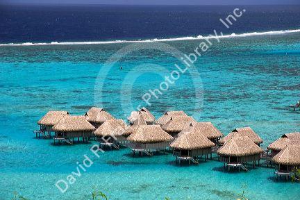 Grass hut bungalows at Sofitel Hotel on the island of Moorea.
