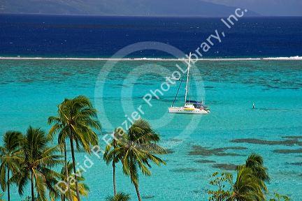 Sailboat anchored in the lagoon off the island of Moorea.