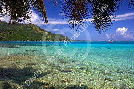 Sailboats anchored in the lagoon off the island of Moorea.