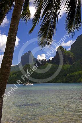 Sailboat anchored in Cook's Bay on the island of Moorea.