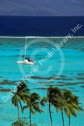 Sailboat anchored in the lagoon off the island of Moorea.