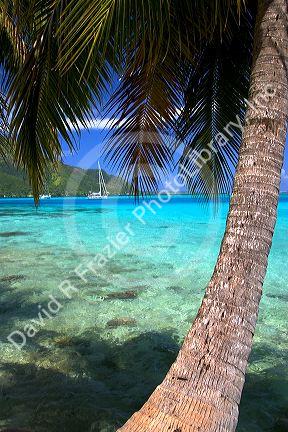 Sailboats anchored in the lagoon off the island of Moorea.