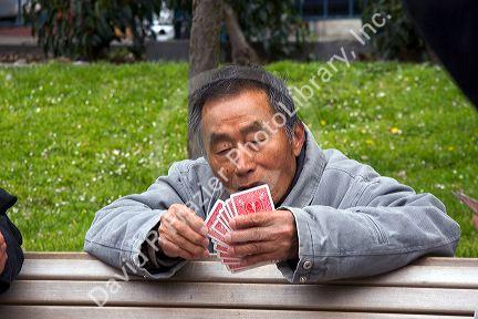 Asian man playing a game of cards in Chinatown, San Francisco, California.