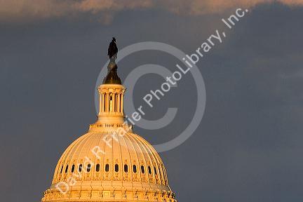 The dome of the United States Capitol Building in Washington, D.C.