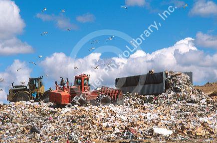 Sanitary landfill with gulls flying overhead and compactors at work.
