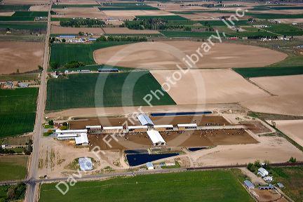 Aerial view of farmland and a dairy farm in Canyon County, Idaho.