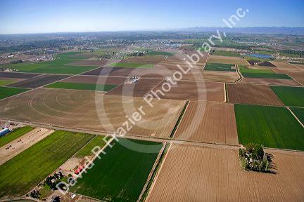 Aerial view of farmland in Canyon County, Idaho.