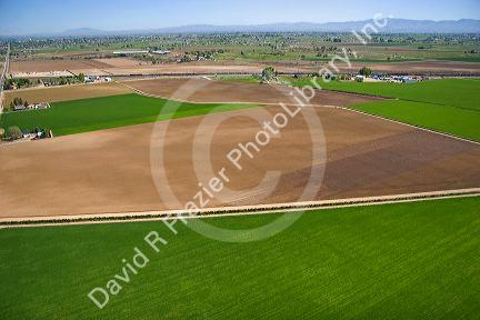Aerial view of farmland in Canyon County, Idaho.
