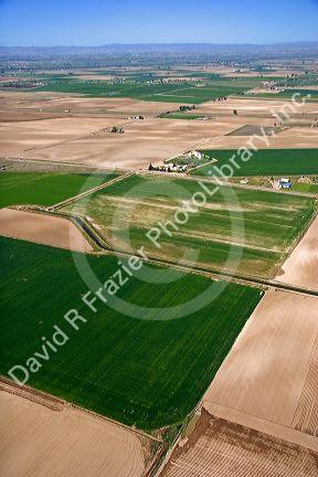 Aerial view of farmland in Canyon County, Idaho.