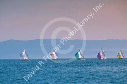 Sailboats on Flathead Lake, Montana.
