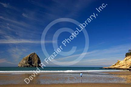 Beach scene at Pacific City on the Oregon Coast.