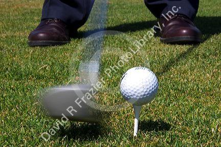 Driver in motion to hit a teed up golf ball.