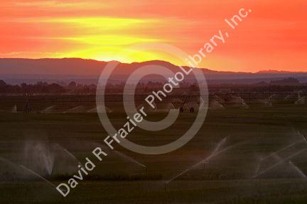 Sunset on farmland irrigation near Grandview, Idaho.