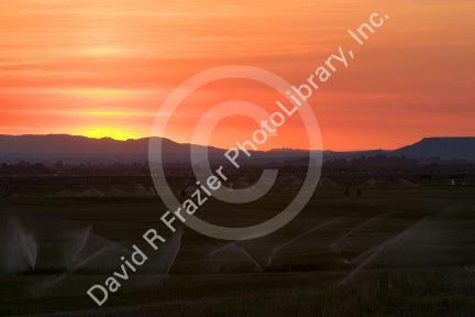 Sunset on farmland irrigation near Grandview, Idaho.