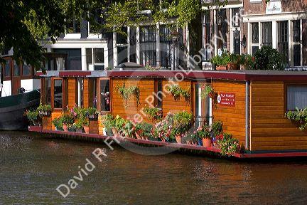 A houseboat docked on the Prinsengracht Canal in Amsterdam, Netherlands.