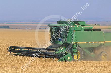 Wheat harvest near Pendleton, Oregon using a John Deere combine.