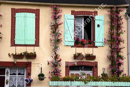 House with a nice display of geraniums in the department of Manche, France.