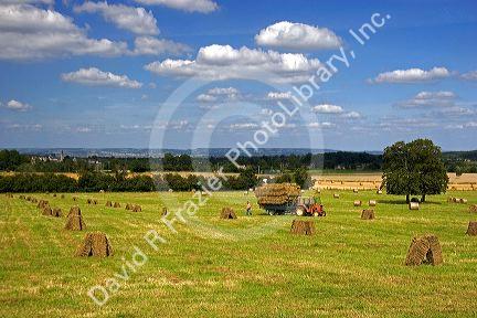Hay harvest at Argentan in the department of Orne, France.