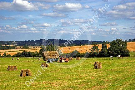 Hay harvest at Argentan in the department of Orne, France.