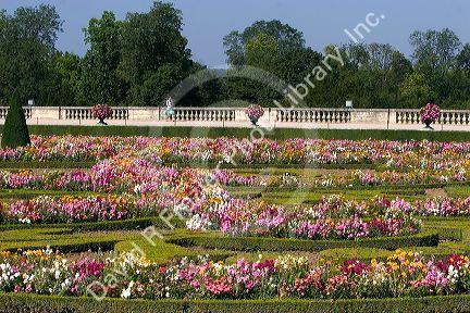 The formal gardens at The Palace of Versailles at Versailles in the department of Yvelines, France.