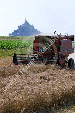 Harvesting wheat with Le Mont Saint Michel in the background in the region of Basse-Normandie, France.