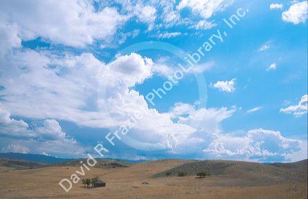 Western 