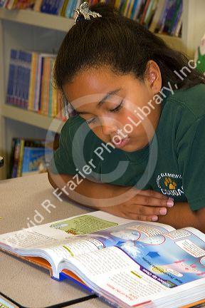 Fourth grade hispanic female student reads a textbook in a classroom at a public school in Tampa, Florida.
